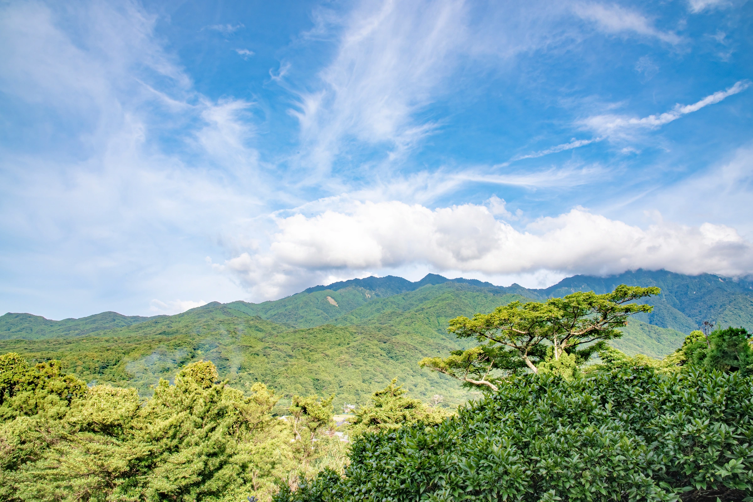 Miyanoura,_Yakushima[1].webp